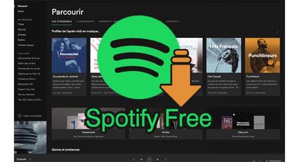 Can You Download Songs To Your Phone From Spotify